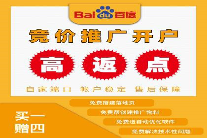 百度SEM推广策略：成功案例解析